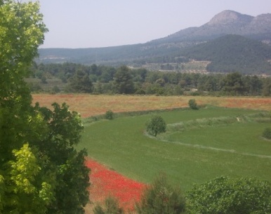 Vista Des de la Segona Planta